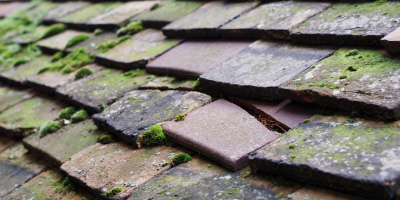 Rosehearty roof repair costs